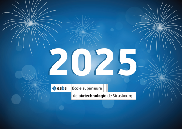 Bonne année 2025