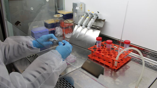 UMR 7242: Michael Weber team