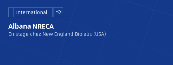 L'international à l'ESBS