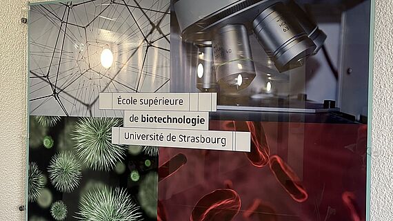 L'École supérieure de biotechnologie de Strasbourg