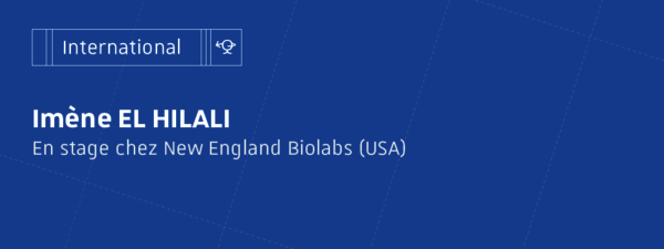 Portrait stage à l'international