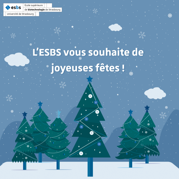 L'ESBS vous souhaite de joyeuses fêtes !