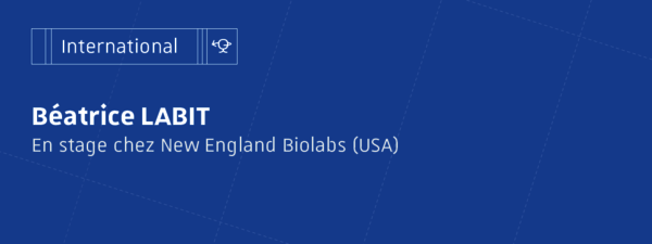 ImBéatrice LABIT - Étudiante-ingénieure en biotechnologie en stage chez NEB (États-Unis) 