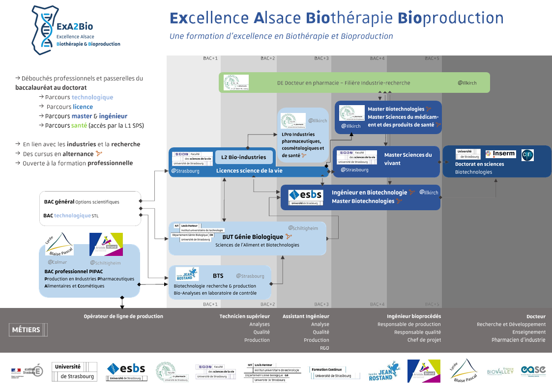 Les passerelles du projet ExA2Bio